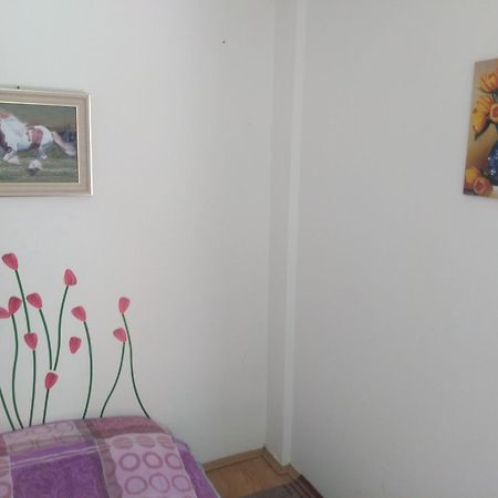 Hostel Trajan Donji Milanovac Dış mekan fotoğraf