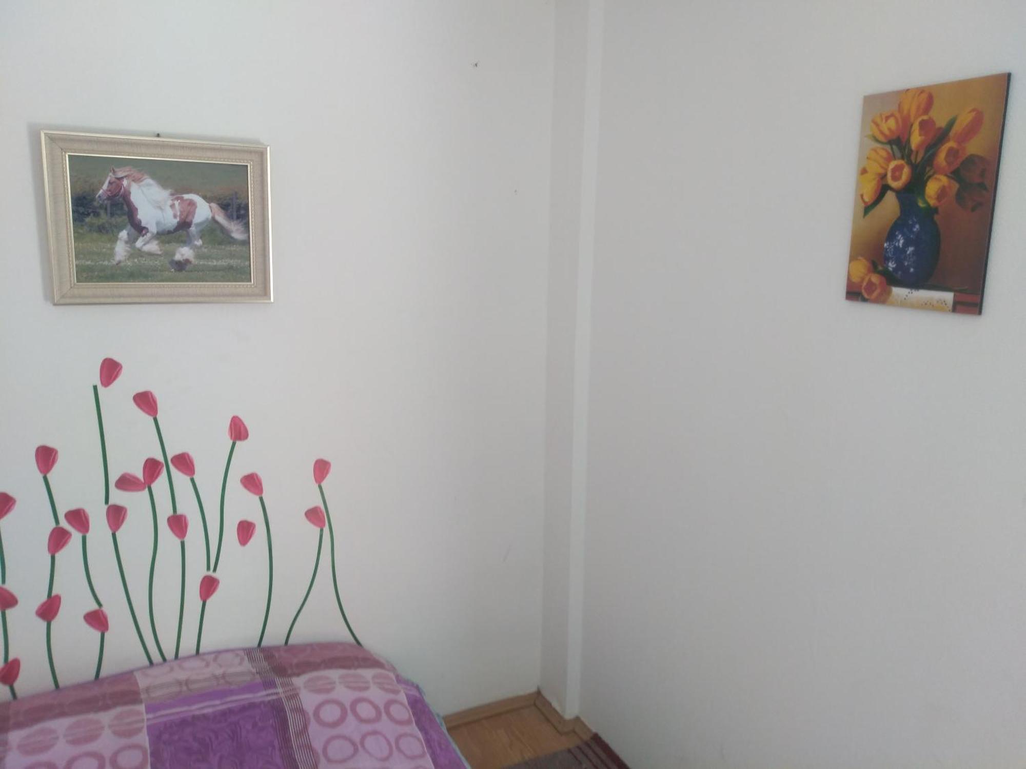 Hostel Trajan Donji Milanovac Dış mekan fotoğraf